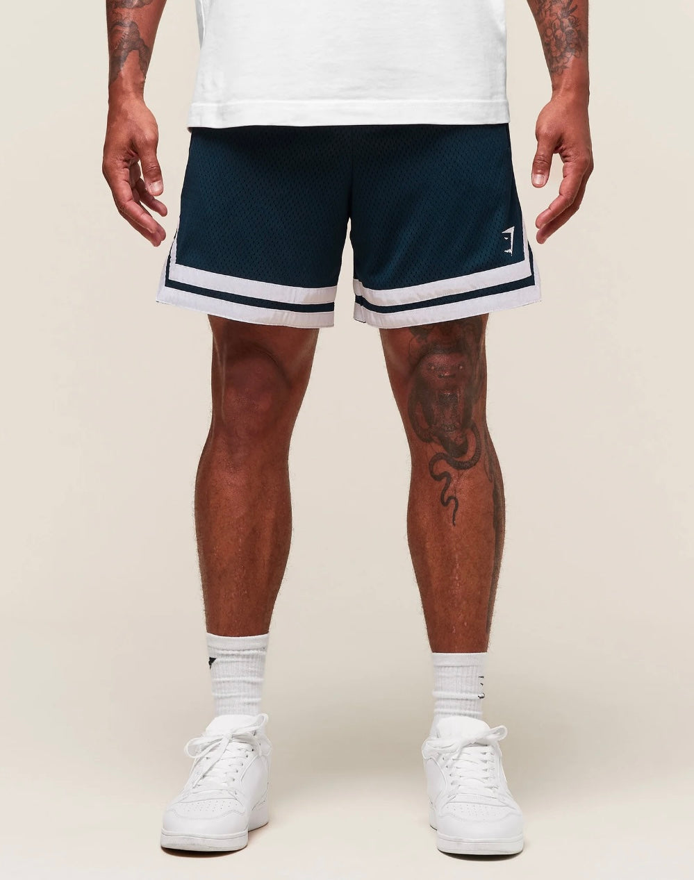 Varsity Mesh Shorts